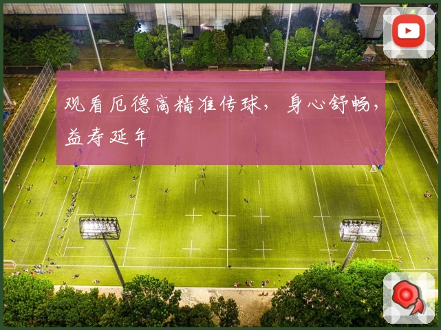 观看厄德高精准传球，身心舒畅，益寿延年